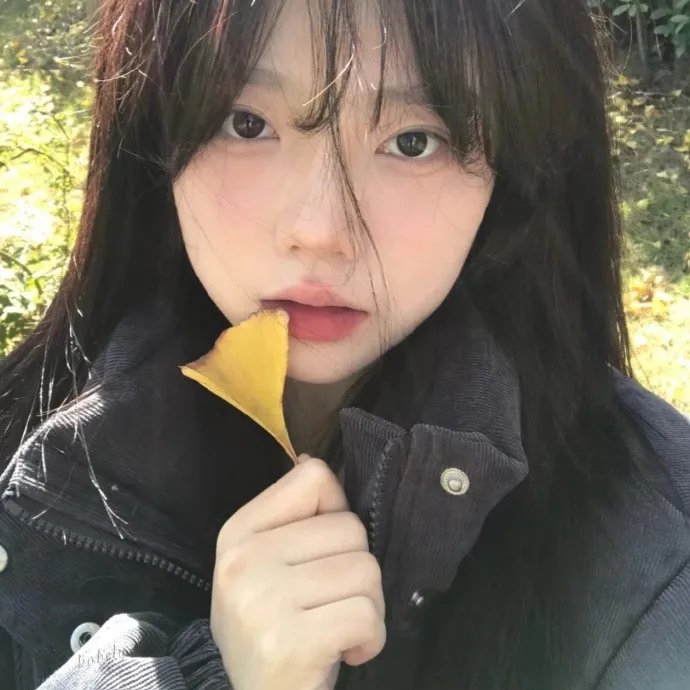 爱的大追踪